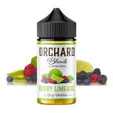 Berry Limeade